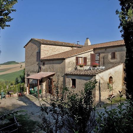 Agriturismo Podere Olivello In Val D'Orcia Montalcino Eksteriør billede