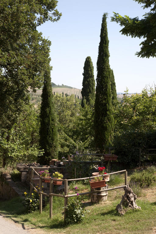Agriturismo Podere Olivello In Val D'Orcia Montalcino Eksteriør billede