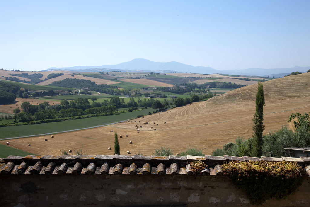 Agriturismo Podere Olivello In Val D'Orcia Montalcino Eksteriør billede