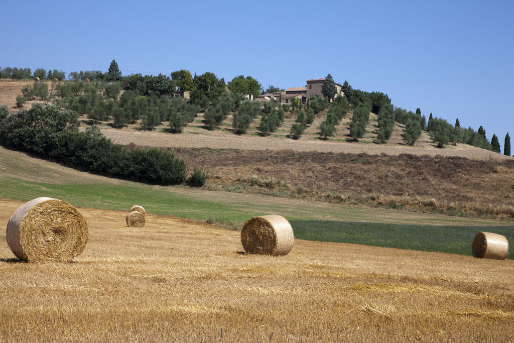 Agriturismo Podere Olivello In Val D'Orcia Montalcino Eksteriør billede